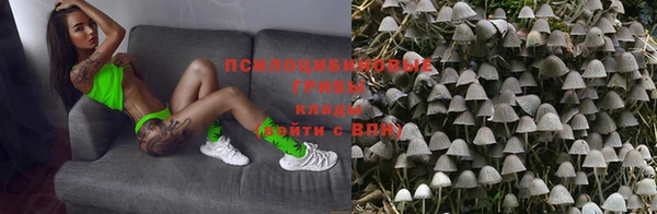 соль курить ск Белокуриха