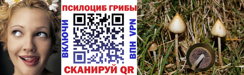 Галлюциногенные грибы прущие грибы  Макаров 